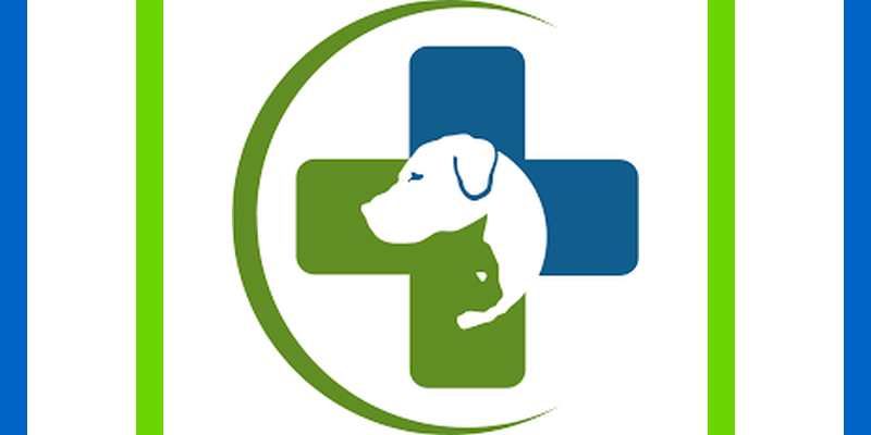 Veterinary homeopathy