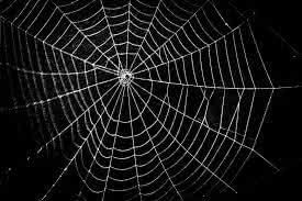web optim Spider web
